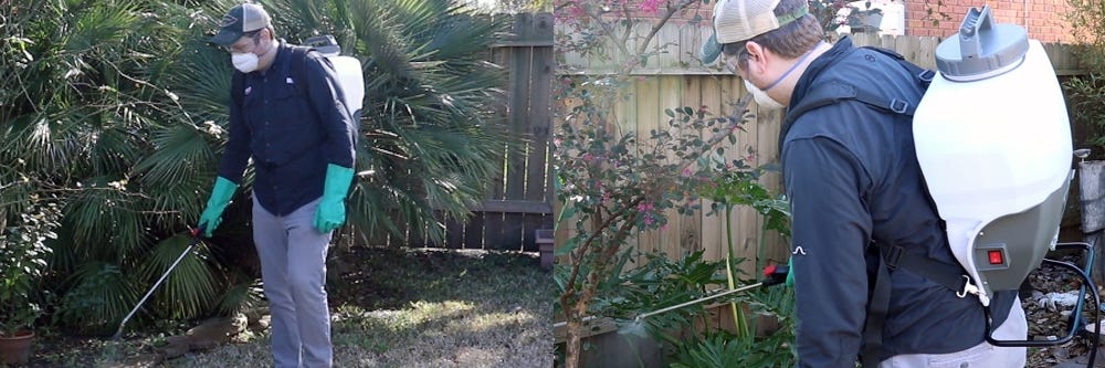 Spraying Vegetation with Backpack Sprayer Spraying Vegetation with Backpack Sprayer