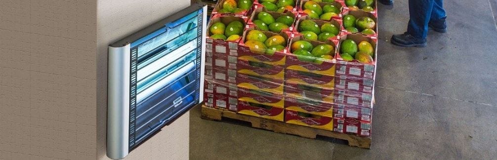 Vector Plasma Fly Light