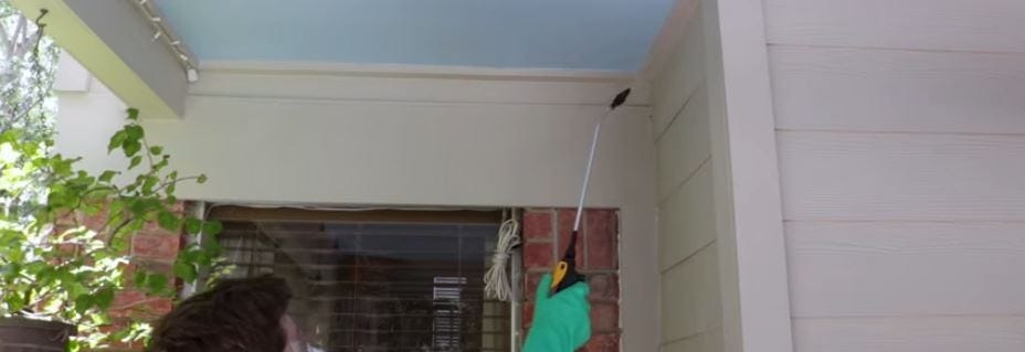 Web Out Cobweb Eliminator